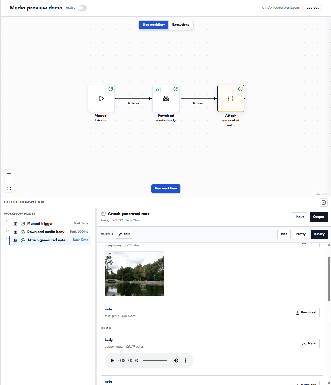 Run detail with binary attachments and previews